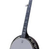 Deering Artisan Goodtime Special 5-string resonator banjo front view dark red mahogany stain with tone ring