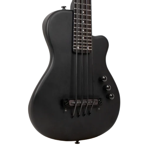 Gold Tone ME-BassFL Black Edition fretless matte black 23-inch scale electric MicroBass front view full body