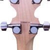 Back of the Deering Goodtime Americana headstock showing the geared tuners and a stamped Deering serial number.