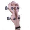 Angled front view of the Deering Goodtime Americana peghead, showing the engraved Americana logo and geared tuners.