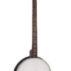 Gold Tone AC-4P variant front view for comparison