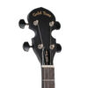Gold Tone AC-4 IT banjo headstock