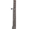Gold Tone AC-5+1 banjo neck detail showing rosewood fingerboard and dot-star inlays
