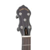 Gold Tone AC-5+1 banjo headstock showing GT planetary tuners and black buttons