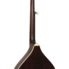 Gold Tone Banjola+S back angle view highlighting body binding and maple curl detail