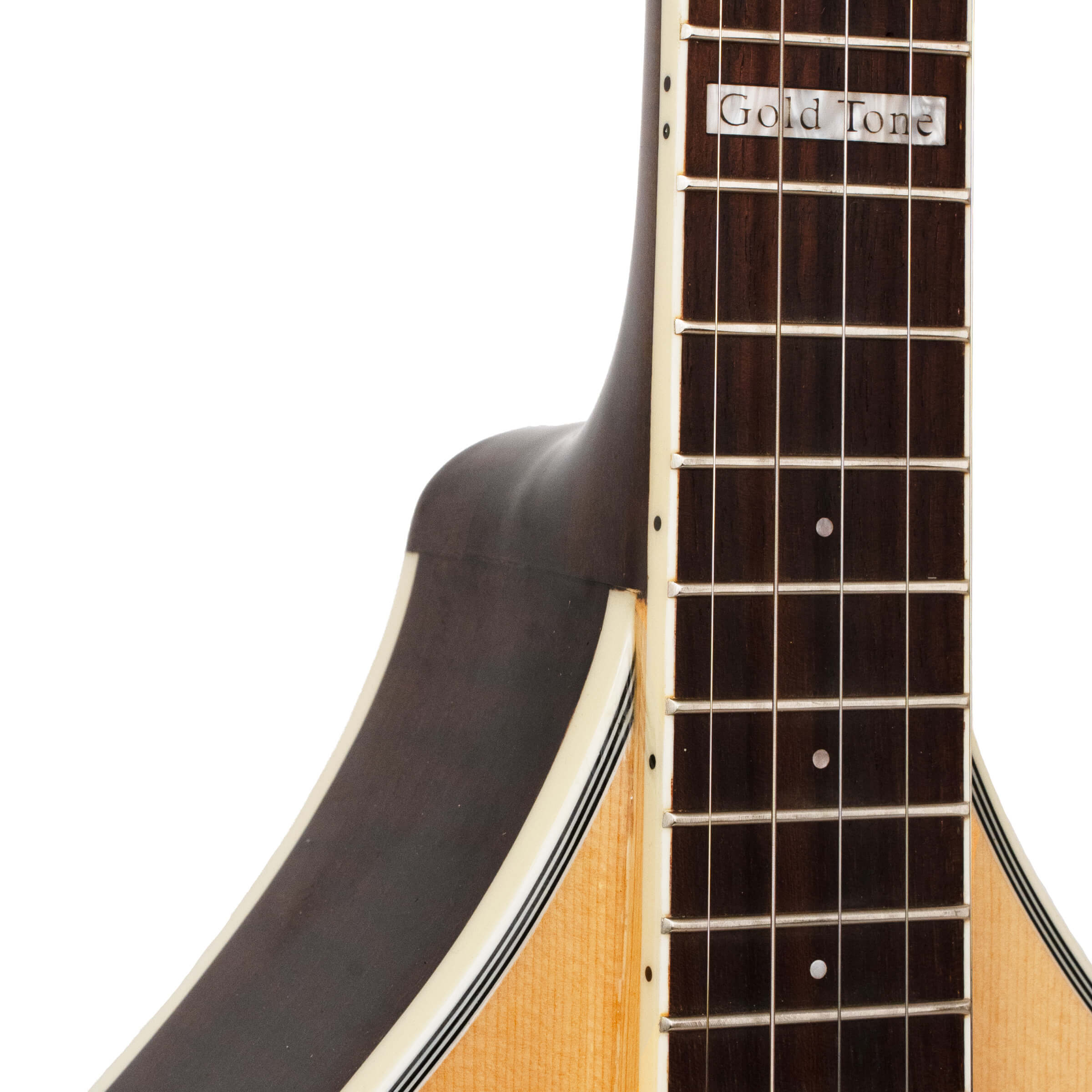 Gold Tone Banjola+S close-up front view of solid spruce top, adjustable ebony bridge, and chrome tailpiece