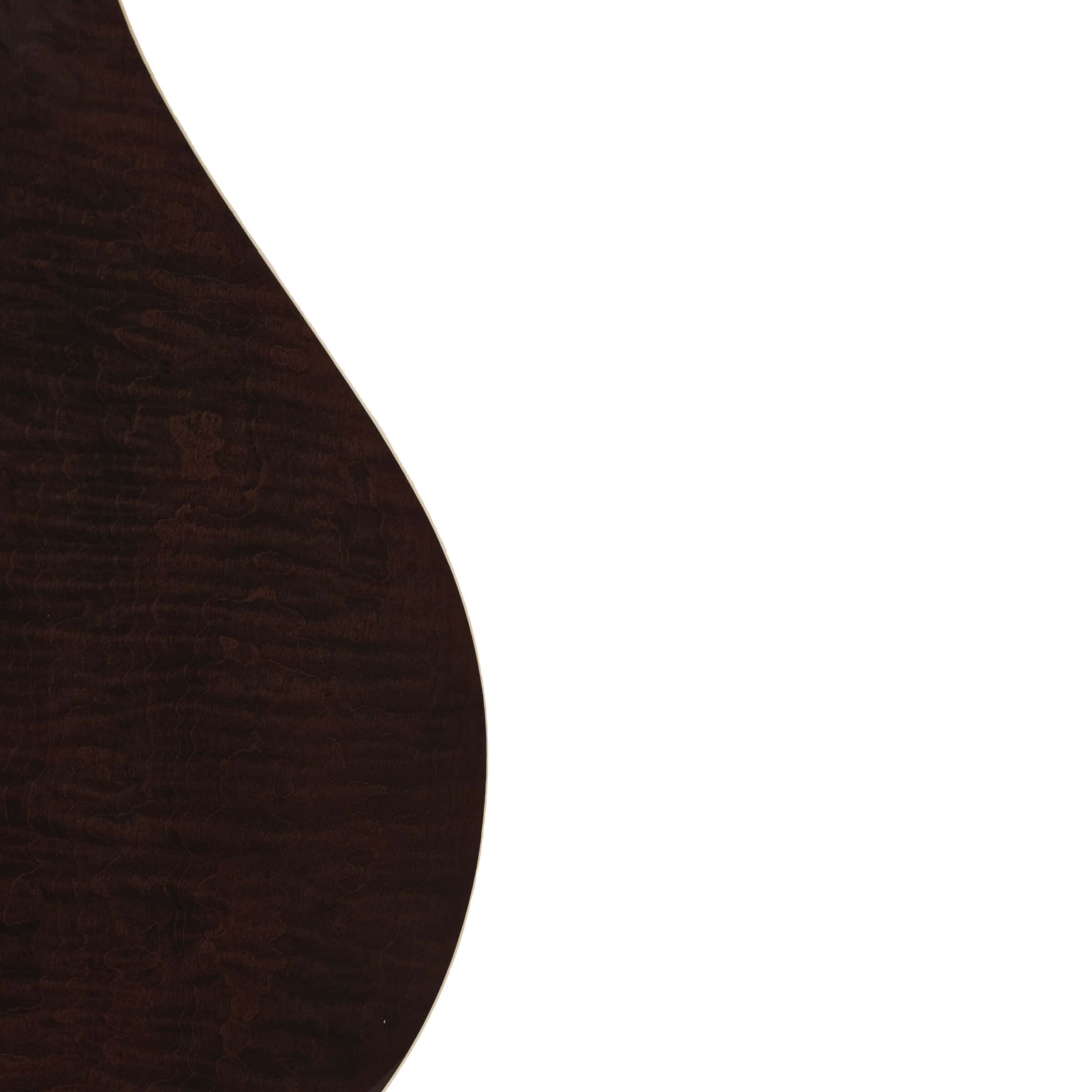 Gold Tone Banjola+S back close-up showing curly maple figure and high gloss finish