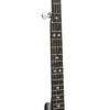 Gold Tone CC-100R+ banjo neck and rosewood fingerboard