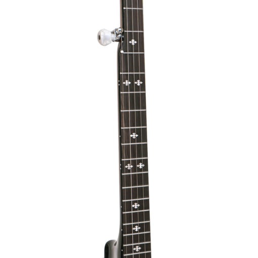 Gold Tone CC-100R+ banjo neck and rosewood fingerboard