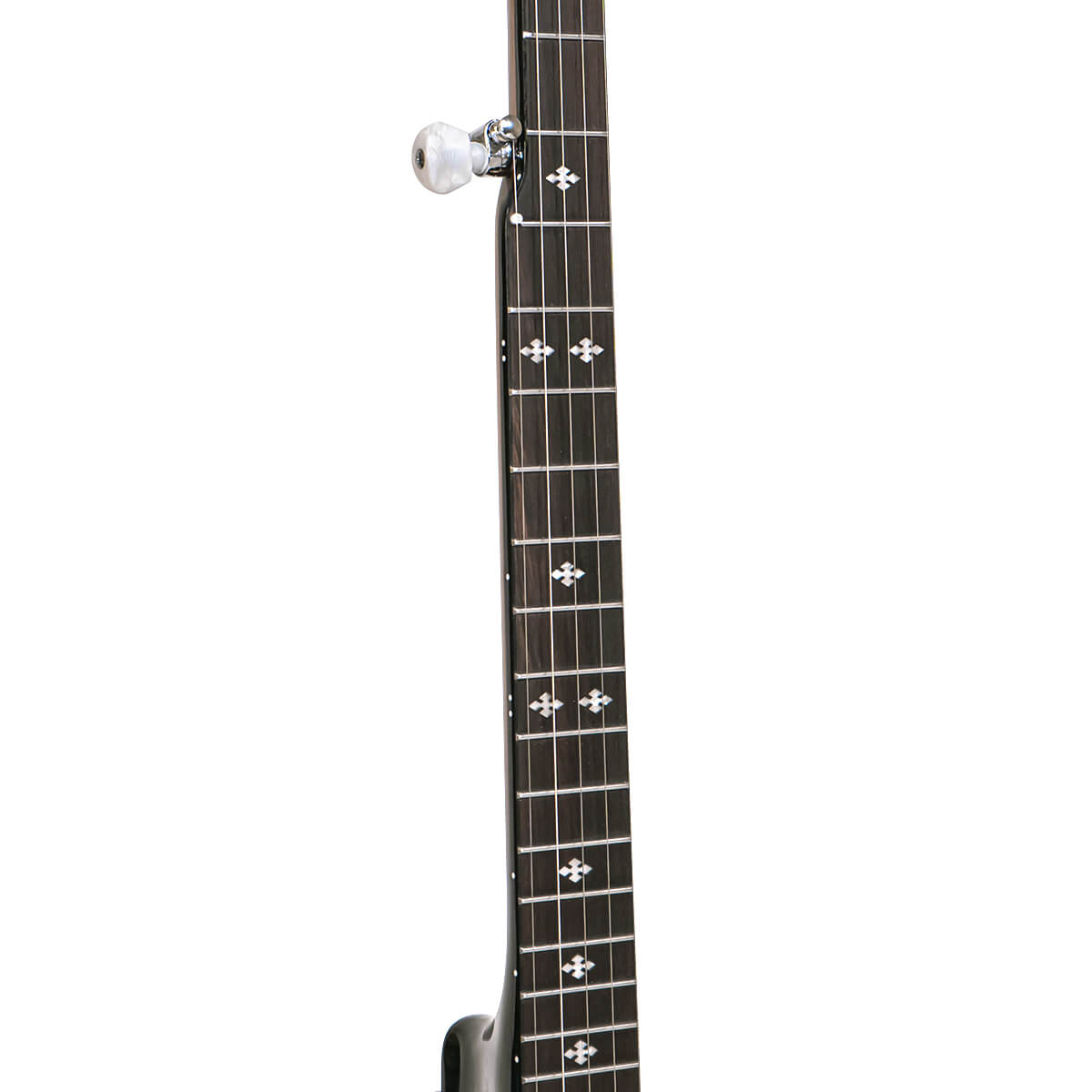 Gold Tone CC-100R+ banjo neck and rosewood fingerboard