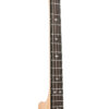Gold Tone CC-IT neck detail showing 17-fret rosewood fingerboard and snowflake inlays