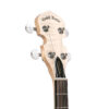 Gold Tone CC-Irish Tenor headstock with sealed guitar-style tuners and B-style buttons
