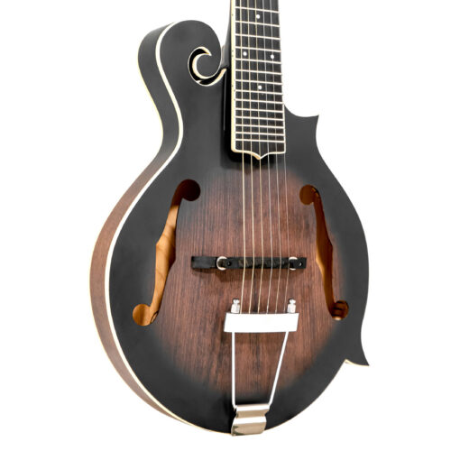 Gold Tone F-6+ mando-guitar full front view showing F-style body and solid spruce top