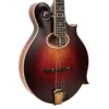 Gold Tone GM-80 F-style mandolin full front view showing body contours and F-holes