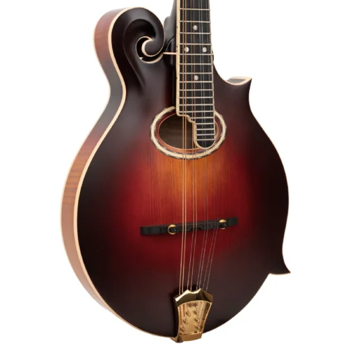 Gold Tone GM-80 F-style mandolin full front view showing body contours and F-holes