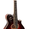 Gold Tone GM-80 mandolin neck showing ebony fingerboard and dot inlay