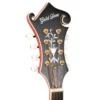 Gold Tone GM-80 mandolin headstock front view with gold F-style tuners