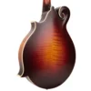 Gold Tone GM-80 mandolin back view showing solid curly maple