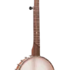 Gold Tone HM-25 High Moon 11-inch openback banjo front view with mahogany satin finish [gt-variant:1453]