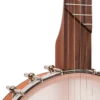 Gold Tone HM-25 11-inch openback banjo front view showing Little Mountain armrest [gt-variant:1453]