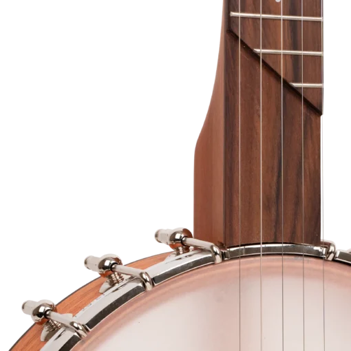 Gold Tone HM-25 Openback Banjo 11