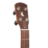 Gold Tone HM-25 headstock with GT planetary tuners front view [gt-variant:1453]