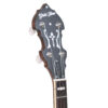Gold Tone OB-150WF banjo headstock