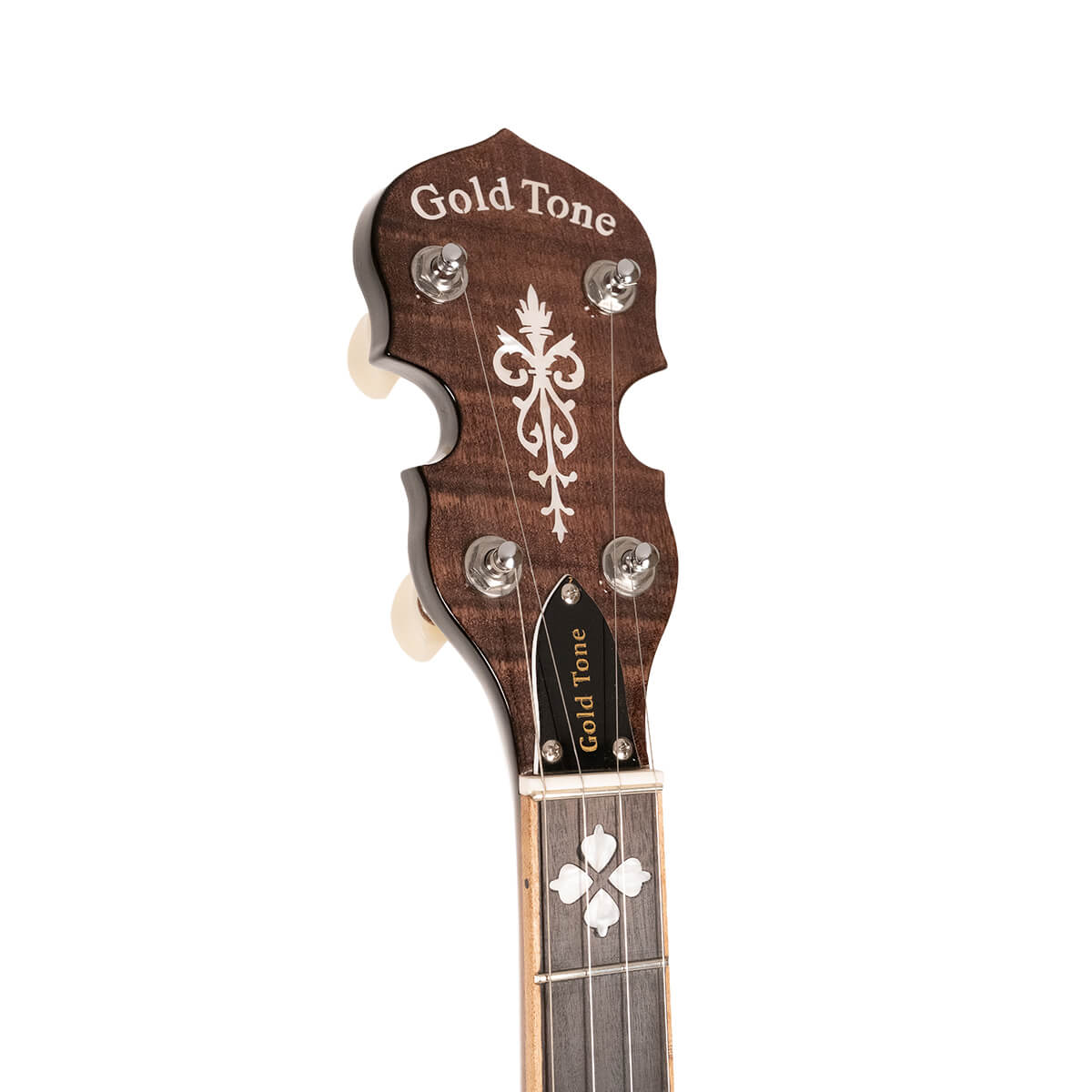 Gold Tone OB-250LW/L left-handed banjo headstock showing GT Master planetary tuners and C-style buttons