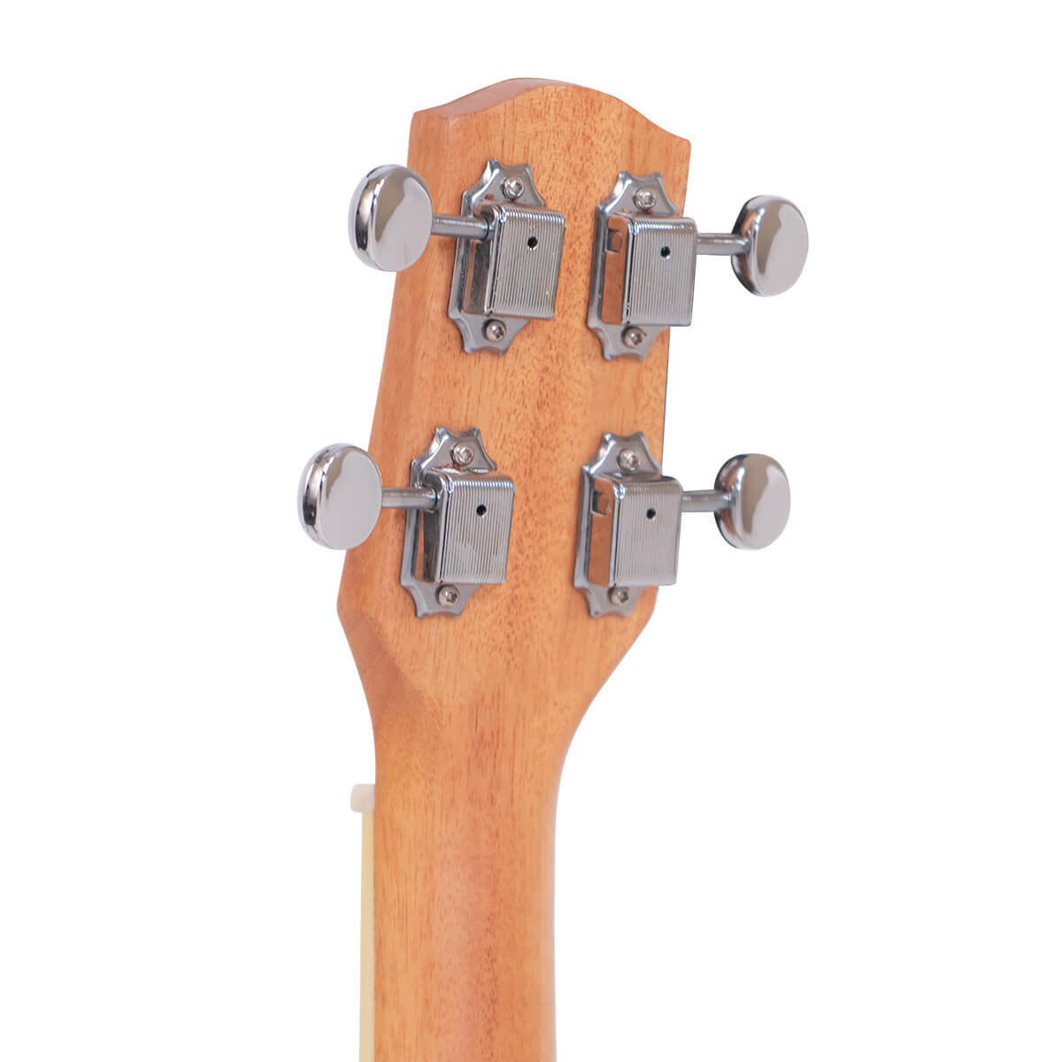 Gold Tone ResoMaple ukulele headstock close-up showing upgraded tuners and bone nut