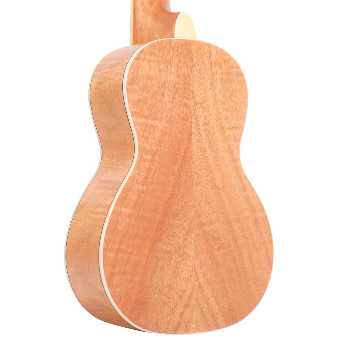 Gold Tone ResoMaple ukulele back view showing curly maple back with natural satin finish