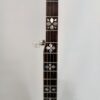 Hearts and Flowers mother of pearl inlays on the rosewood fretboard of a GTR banjo