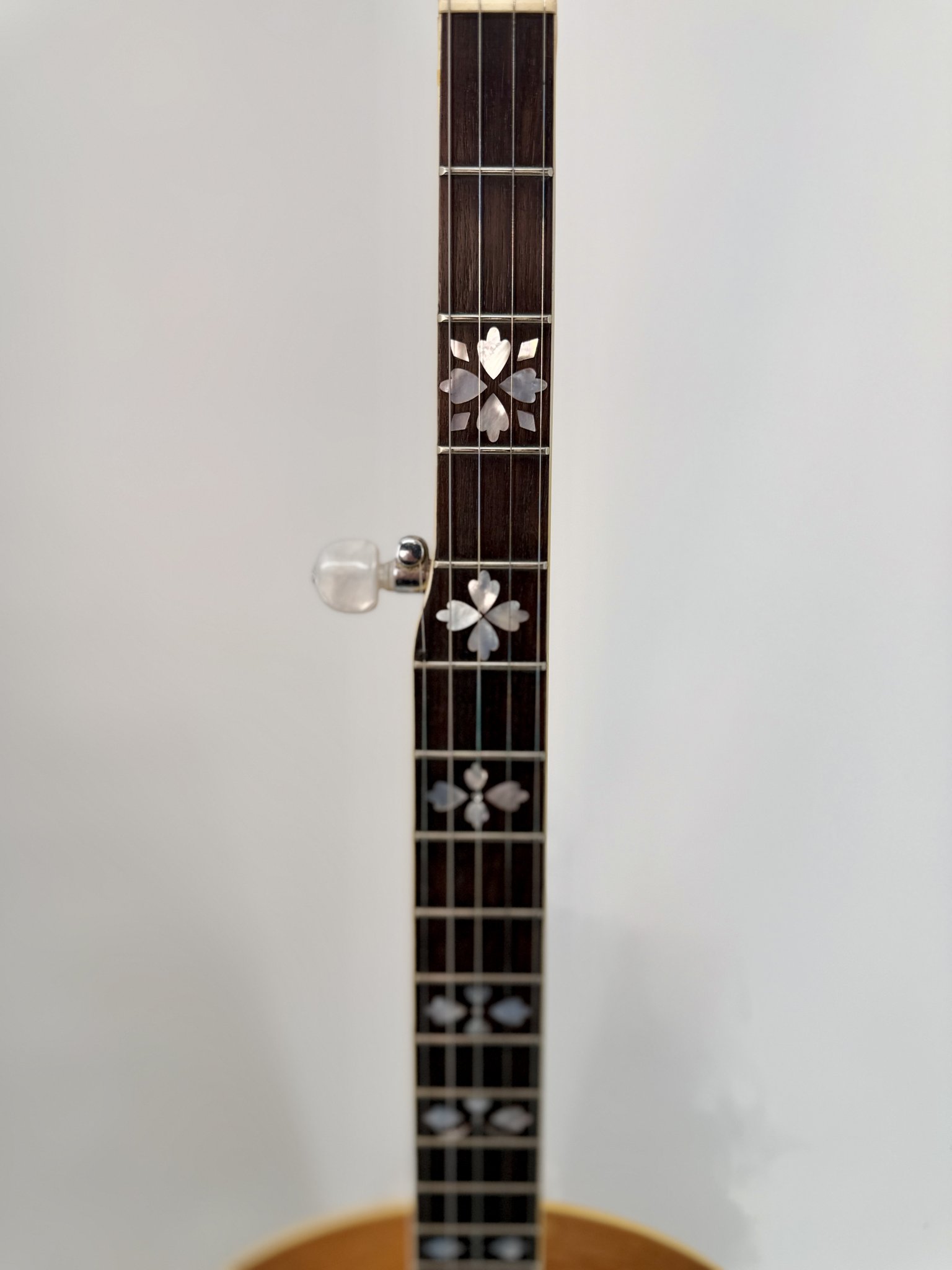 Hearts and Flowers mother of pearl inlays on the rosewood fretboard of a GTR banjo