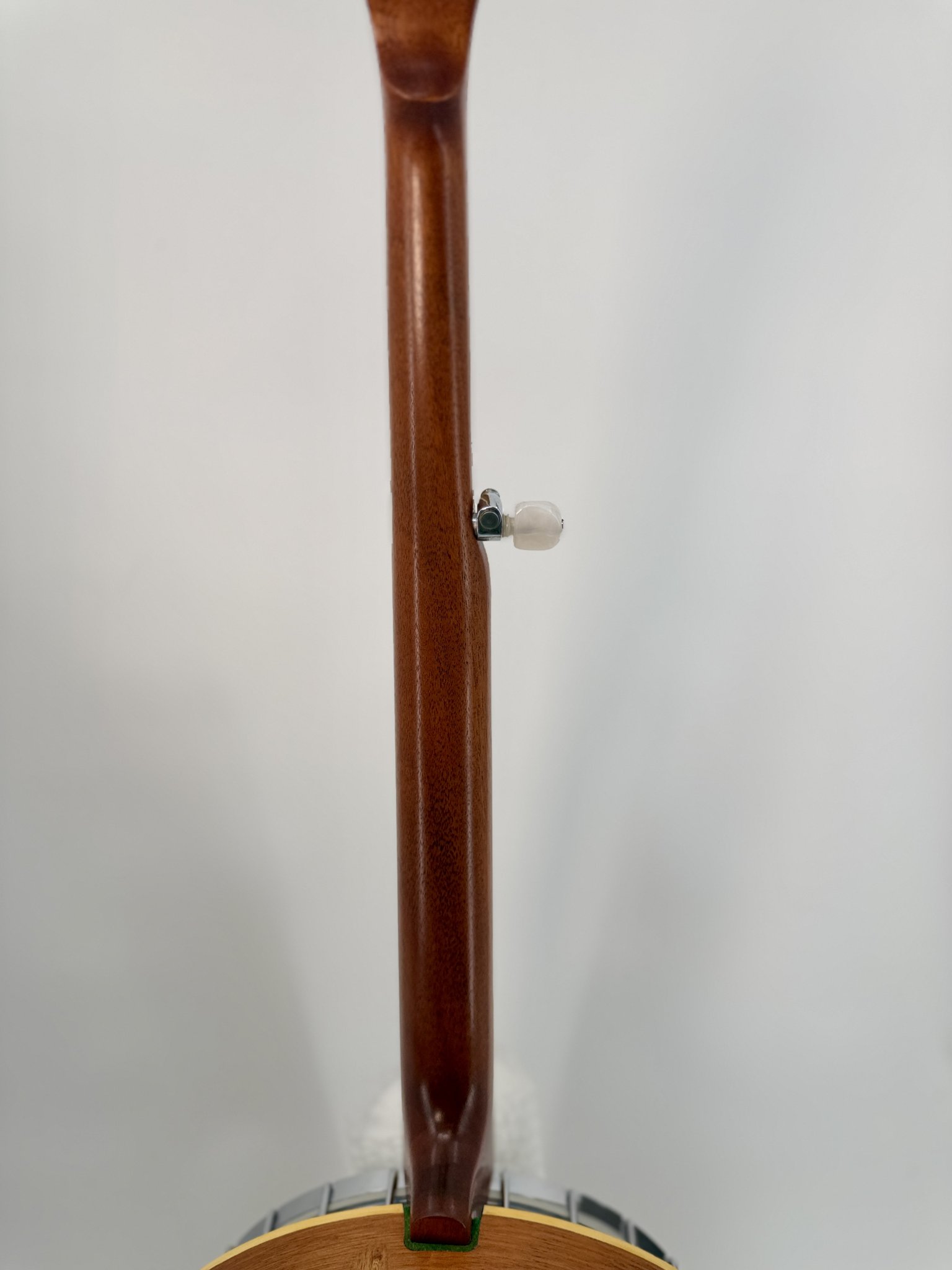 Back of the mahogany neck with geared fifth-string tuner on a GTR banjo