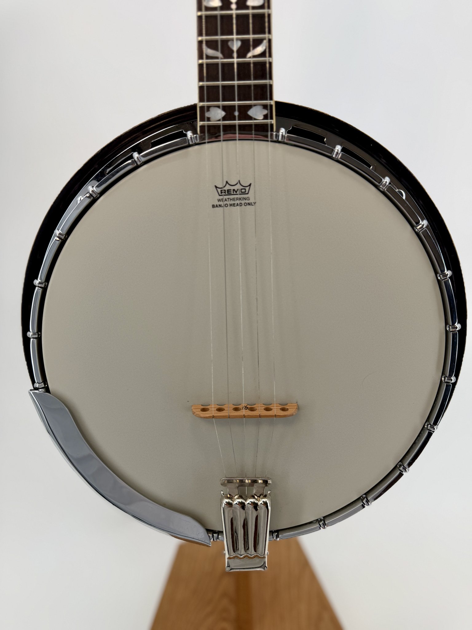 GTR banjo pot with Remo Weatherking head, flathead tone ring, and chrome hardware