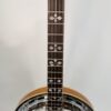 Rosewood fretboard with pearl inlays leading into the pot on a GTR banjo