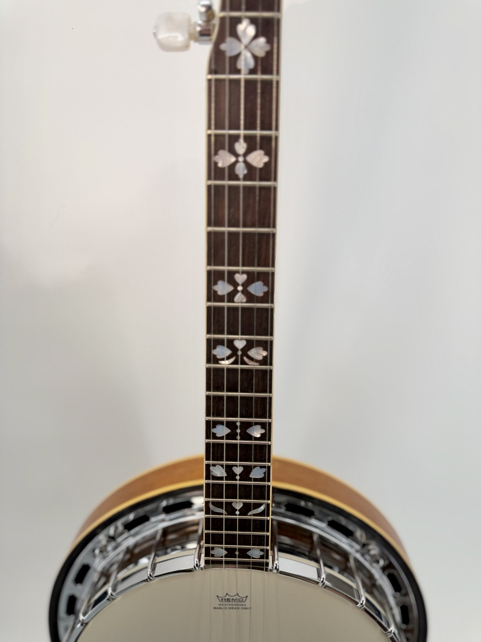 Rosewood fretboard with pearl inlays leading into the pot on a GTR banjo