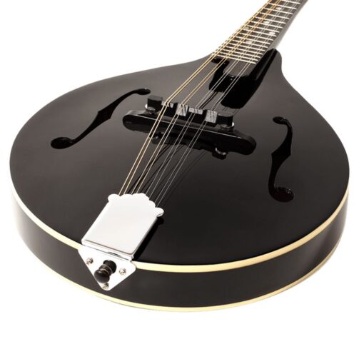Recording King RAM-3-BK Dirty 30s A-Style Mandolin