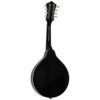 Recording King RAM-3-BK Dirty 30s A-Style Mandolin