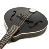 Recording King RAM-3-BK Dirty 30s A-Style Mandolin