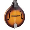 Recording King RAM-3-TS Dirty 30s A-Style Mandolin