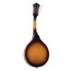 Recording King RAM-3-TS Dirty 30s A-Style Mandolin