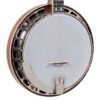 Recording King RK-ELITE-76 The Elite Hearts & Flowers Banjo