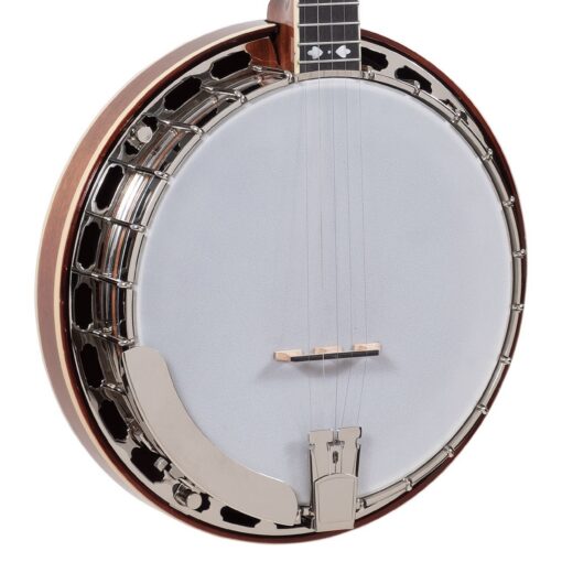 Recording King RK-ELITE-76 The Elite Hearts & Flowers Banjo