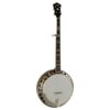 Recording King RK-R20 Songster Resonator Banjo