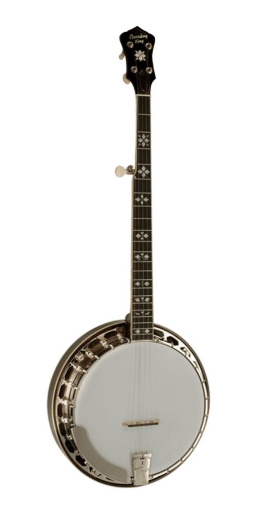 Recording King RK-R20 Songster Resonator Banjo, front view