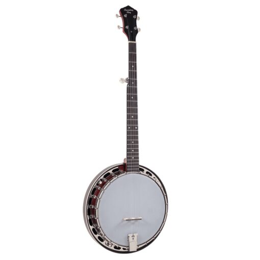 Recording King RKH-05 Dirty 30s Resonator Banjo
