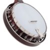 Recording King RKH-05 Dirty 30s Resonator Banjo