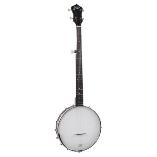 Recording King RKOH-06 Dirty 30s Open Back Banjo