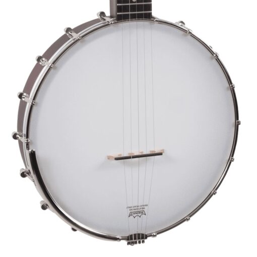 Recording King RKOH-06 Dirty 30s Open Back Banjo