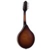The Loar LM-110-BRB Honey Creek A-Style Mandolin